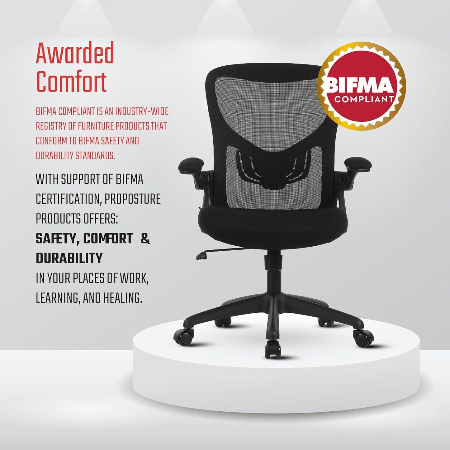 AYLA Office Chair, Ergonomic Desk Chair with Adjustable Lumbar Support and Flip-Up Arms, Breathable Mesh Computer Task Chair for Home Office and Gaming, BIFMA Certified for Quality