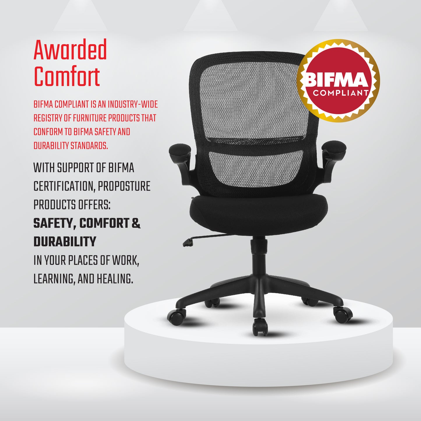 Acacia Office Chair, Ergonomic Desk Chair with Lumbar Support Arch and Flip-Up Armrs, Breathable Mesh Computer Task Chair for Home Office and Gaming, BIFMA Quality Certified